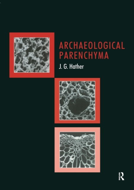 Archaeological Parenchyma, Paperback / softback Book