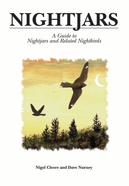 Nightjars : A Guide to Nightjars and related birds, Hardback Book