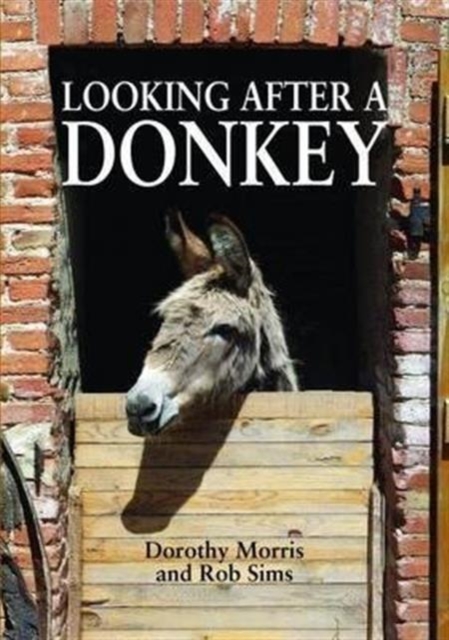 Looking After a Donkey, Paperback / softback Book