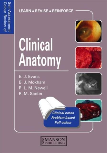 Clinical Anatomy : Self-Assessment Colour Review, Paperback / softback Book