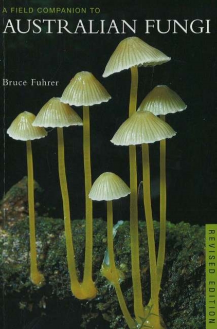 Field Companion to Australian Fungi 3, Paperback / softback Book