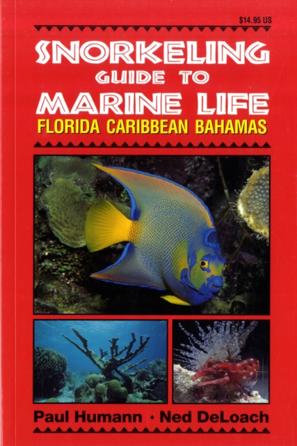 Snorkeling Guide to Marine Life : Florida, Caribbean, Bahamas, Paperback / softback Book