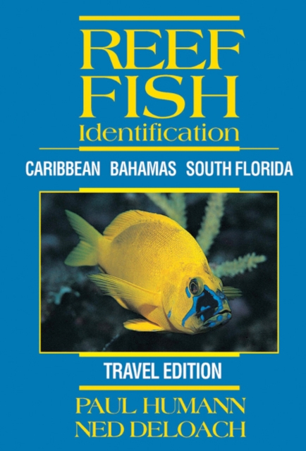 Reef Fish Identification (Travel Edition) : Caribbean, Bahamas, South Florida, Spiral bound Book