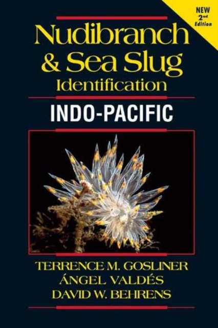 Nudibranch and Sea Slug Identification Indo-Pacific, Paperback / softback Book