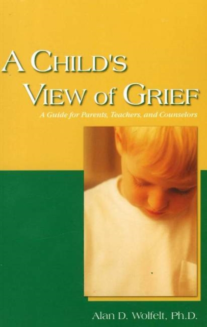 A Child's View of Grief : A Guide for Parents, Teachers, and Counselors, Paperback / softback Book