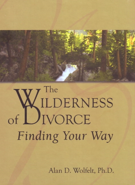 The Wilderness of Divorce : Finding Your Way, Hardback Book