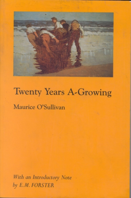 Twenty Years A-Growing, Paperback / softback Book