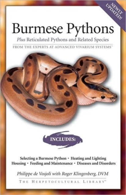 Burmese Pythons : Plus Reticulated Pythons And Related Species, Paperback / softback Book