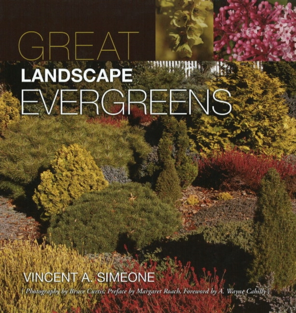 Great Landscape Evergreens, Hardback Book