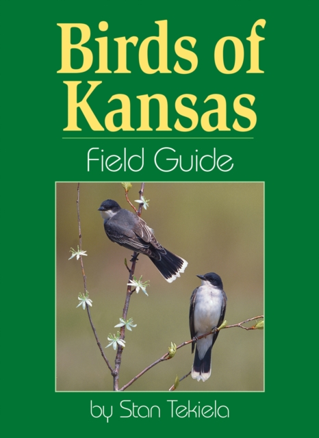 Birds of Kansas Field Guide, Paperback / softback Book