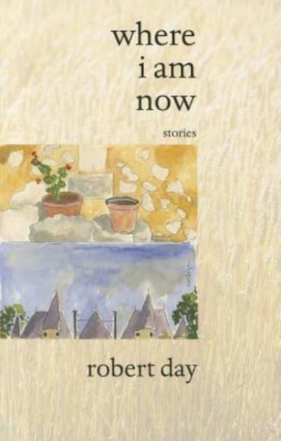 Where I Am Now : Stories, Paperback / softback Book
