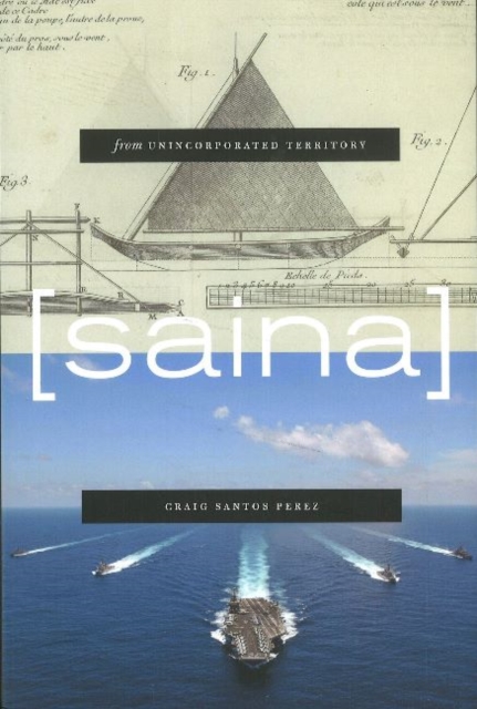 from unincorporated territory [saina], Paperback / softback Book