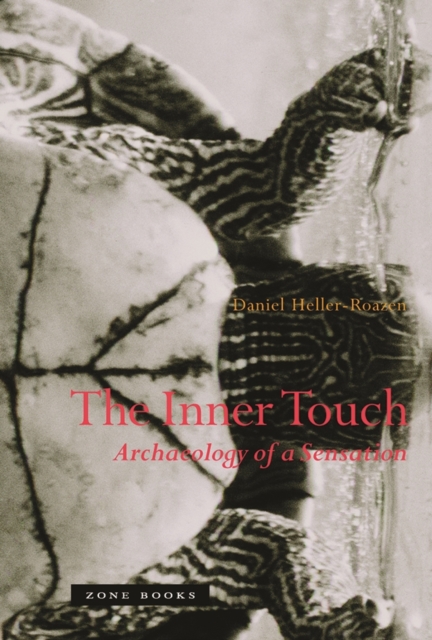 The Inner Touch : Archaeology of a Sensation, Paperback / softback Book