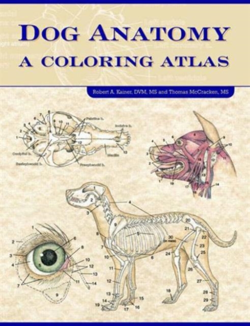 Dog Anatomy : A Coloring Atlas, Paperback / softback Book