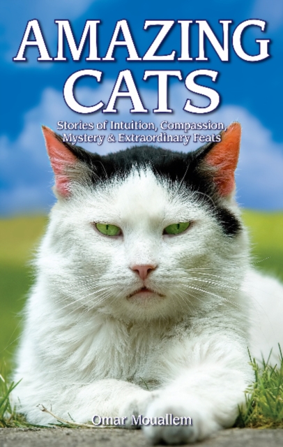 Amazing Cats : Stories of Intuition, Compassion, Mystery & Extraordinary Feats, Paperback / softback Book