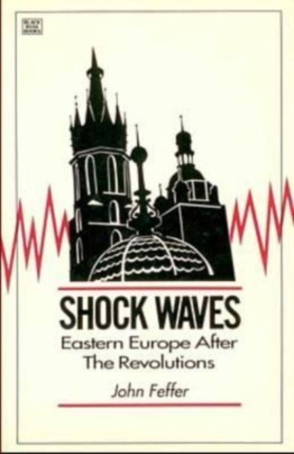 Shock Waves : Eastern Europe After the Revolutions, Paperback / softback Book