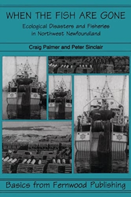 When the Fish Are Gone : Ecological Collapse and the Social Organization of Fishing in Northwest Newfoundland, 1982-1995, Paperback / softback Book
