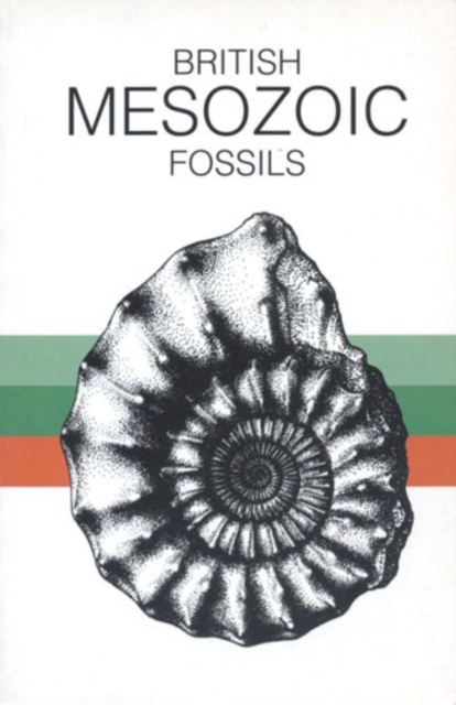 British Mesozoic Fossils, Paperback Book