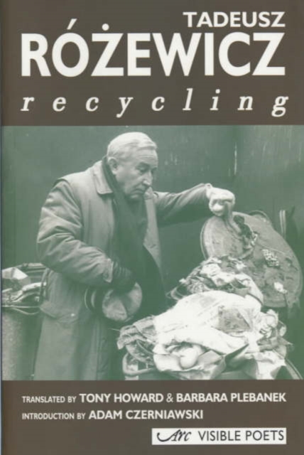 Recycling, Paperback / softback Book