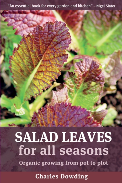 Salad Leaves for All Seasons : Organic Growing from Pot to Plot, Paperback / softback Book