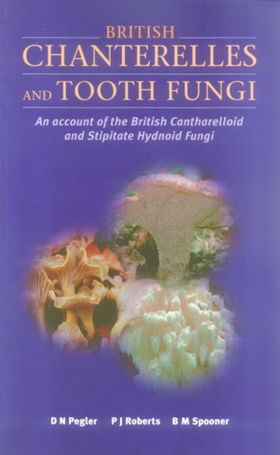 British Chanterelles and Tooth Fungi : Account of the British Cantharelloid and Stipitate Hydnoid Fung, Paperback / softback Book