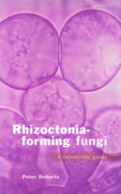 Rhizoctonia-forming Fungi : A Taxonomic Guide, Paperback / softback Book