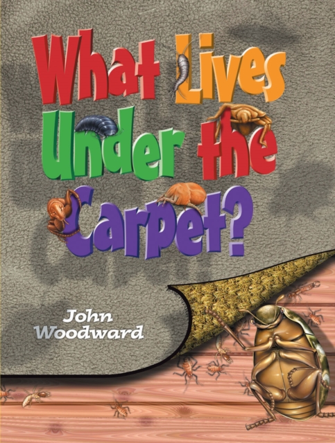 What Lives Under the Carpet?, Paperback / softback Book