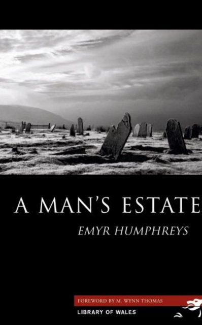 A Man's Estate, Paperback / softback Book
