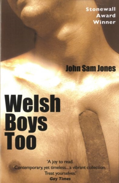 Welsh Boys Too, Paperback / softback Book