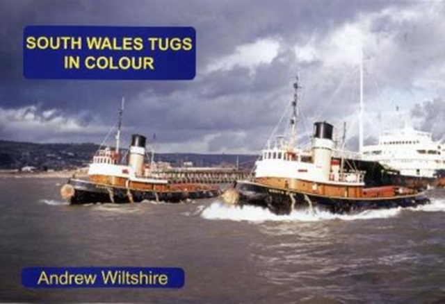 SOUTH WALES TUGS IN COLOUR, Paperback / softback Book