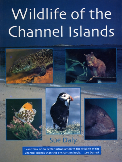 Wildlife of the Channel Islands, Paperback / softback Book