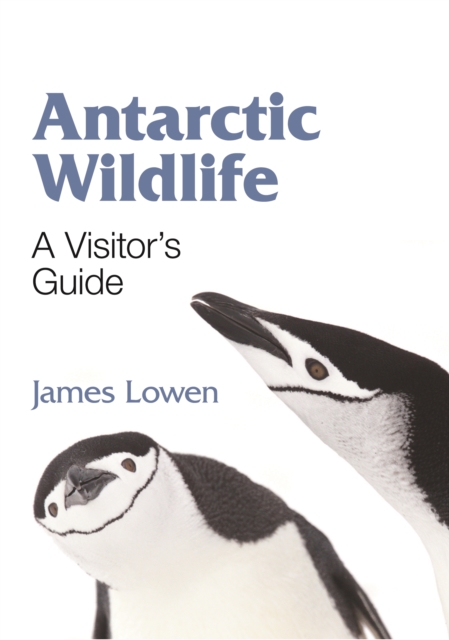 Antarctic Wildlife - A Visitor`s Guide, Paperback / softback Book