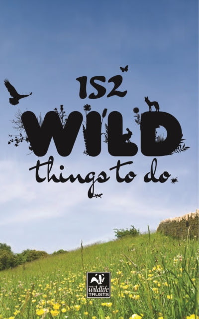 152 Wild Things to Do, Paperback / softback Book