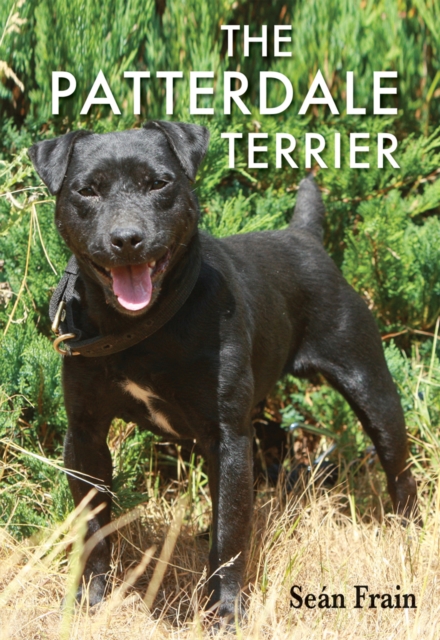 The Patterdale Terrier, Paperback / softback Book