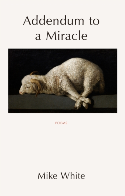 Addendum to a Miracle, Paperback / softback Book