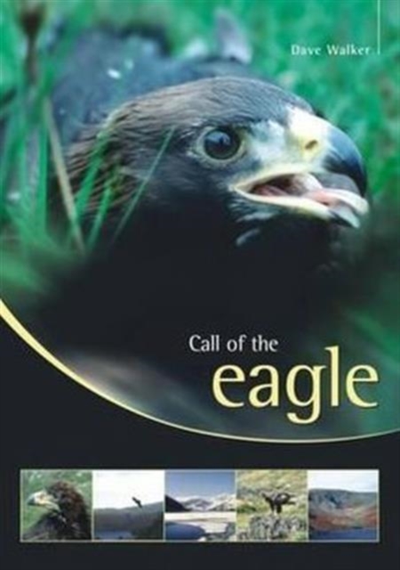 Call of the Eagle, Paperback / softback Book