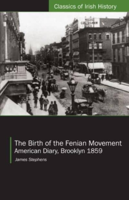The Birth of the Fenian Movement : American Diary, Brooklyn 1859, Paperback / softback Book