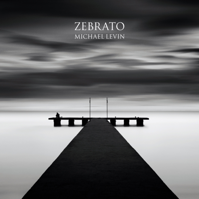 Zebrato, Hardback Book