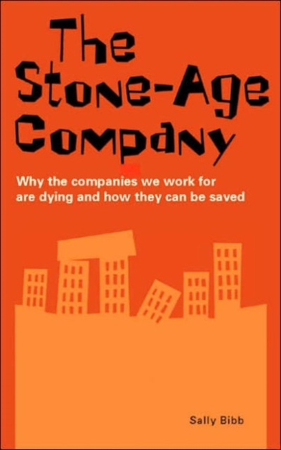 The Stone-age Company : Why the Companies We Work for Won't Survive, Paperback / softback Book
