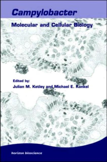 Campylobacter : New Perspectives in Molecular and Cellular Biology, Hardback Book