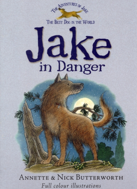 Jake in Danger, Paperback / softback Book