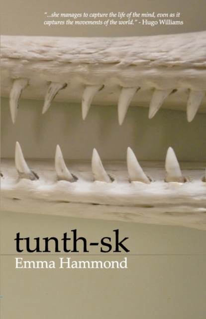 Tunth-sk, Paperback / softback Book