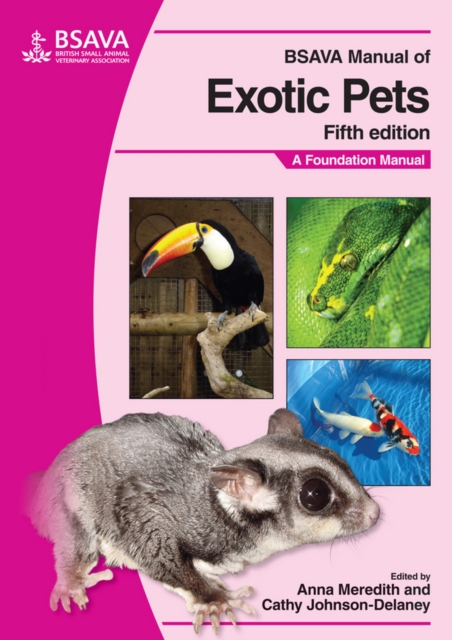 BSAVA Manual of Exotic Pets, Paperback / softback Book