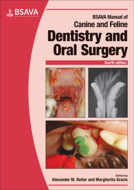BSAVA Manual of Canine and Feline Dentistry and Oral Surgery, Paperback / softback Book