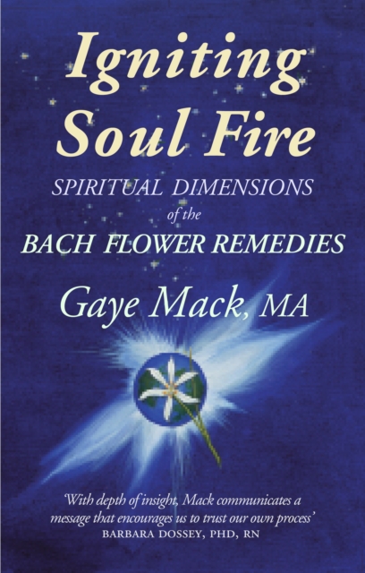 Igniting Soul Fire : Spiritual Dimensions of the Bach Flower Essences, EPUB eBook