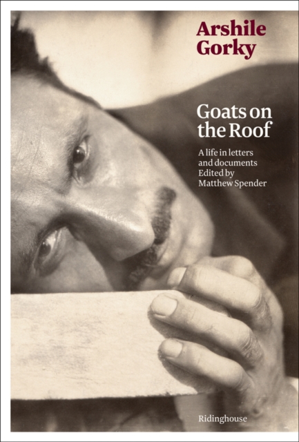 Arshile Gorky: Goats on the Roof : A Life in Letters and Documents, Paperback / softback Book