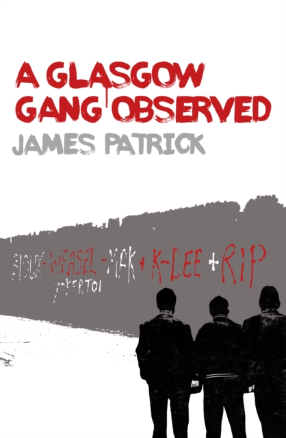 A Glasgow Gang Observed, EPUB eBook