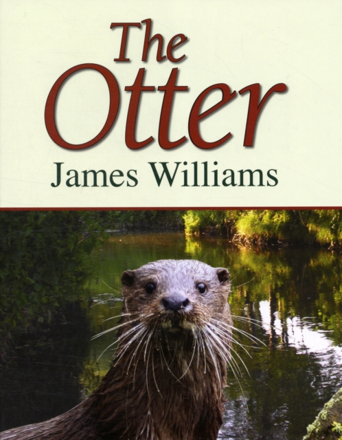 The Otter, Hardback Book