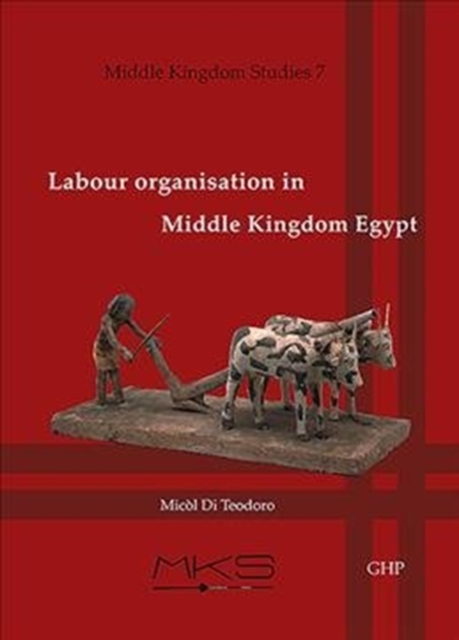 Labour organisation in Middle Kingdom Egypt, Paperback / softback Book