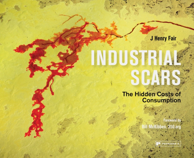 Industrial Scars : The Hidden Costs of Consumption, Hardback Book